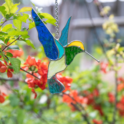 BRIGHT HUMMINGBIRD