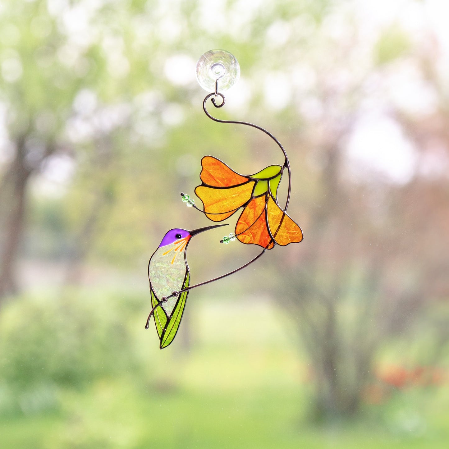 KOLIBRI MIT HIBISKUSBLÜTE