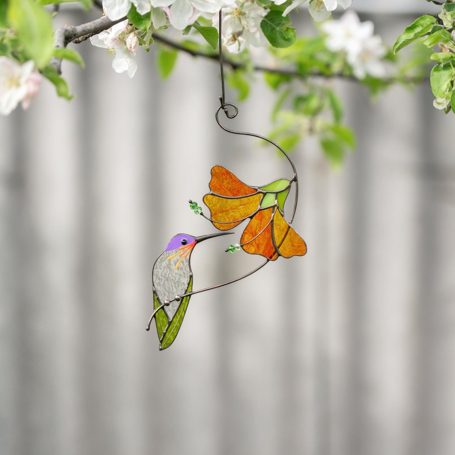 KOLIBRI MIT HIBISKUSBLÜTE