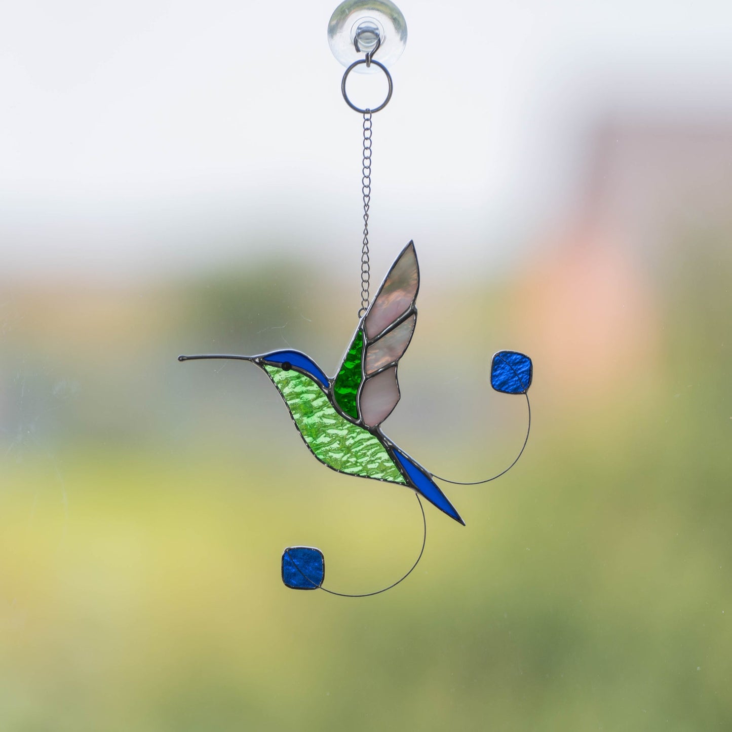 RACKET-TAIL HUMMINGBIRD HANGING