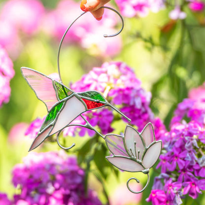 RUBY-THROATED HUMMINGBIRD WITH THE FLOWER