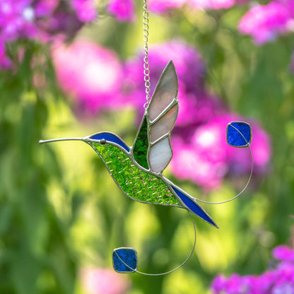 RACKET-TAIL HUMMINGBIRD HANGING