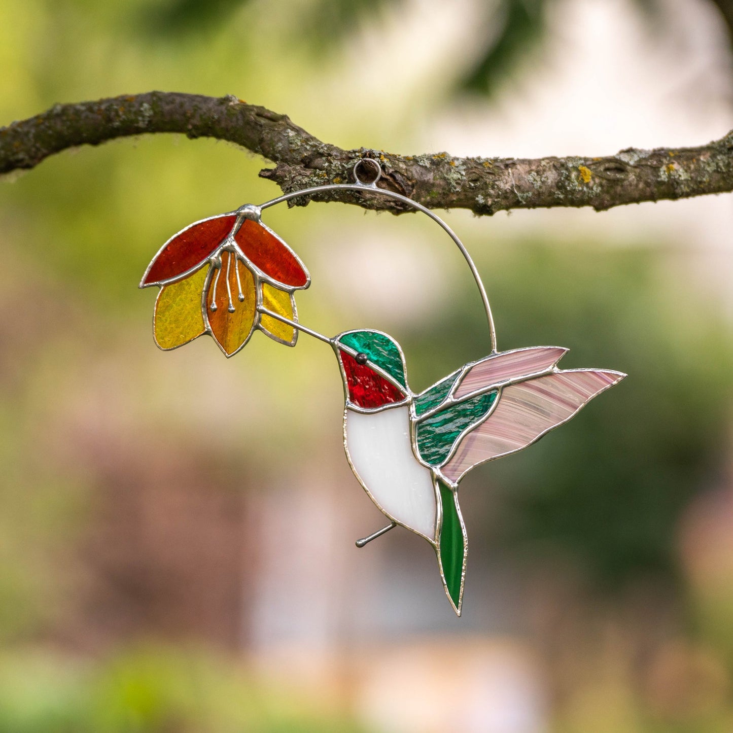 COLOURFUL HUMMINGBIRD WITH FLOWER