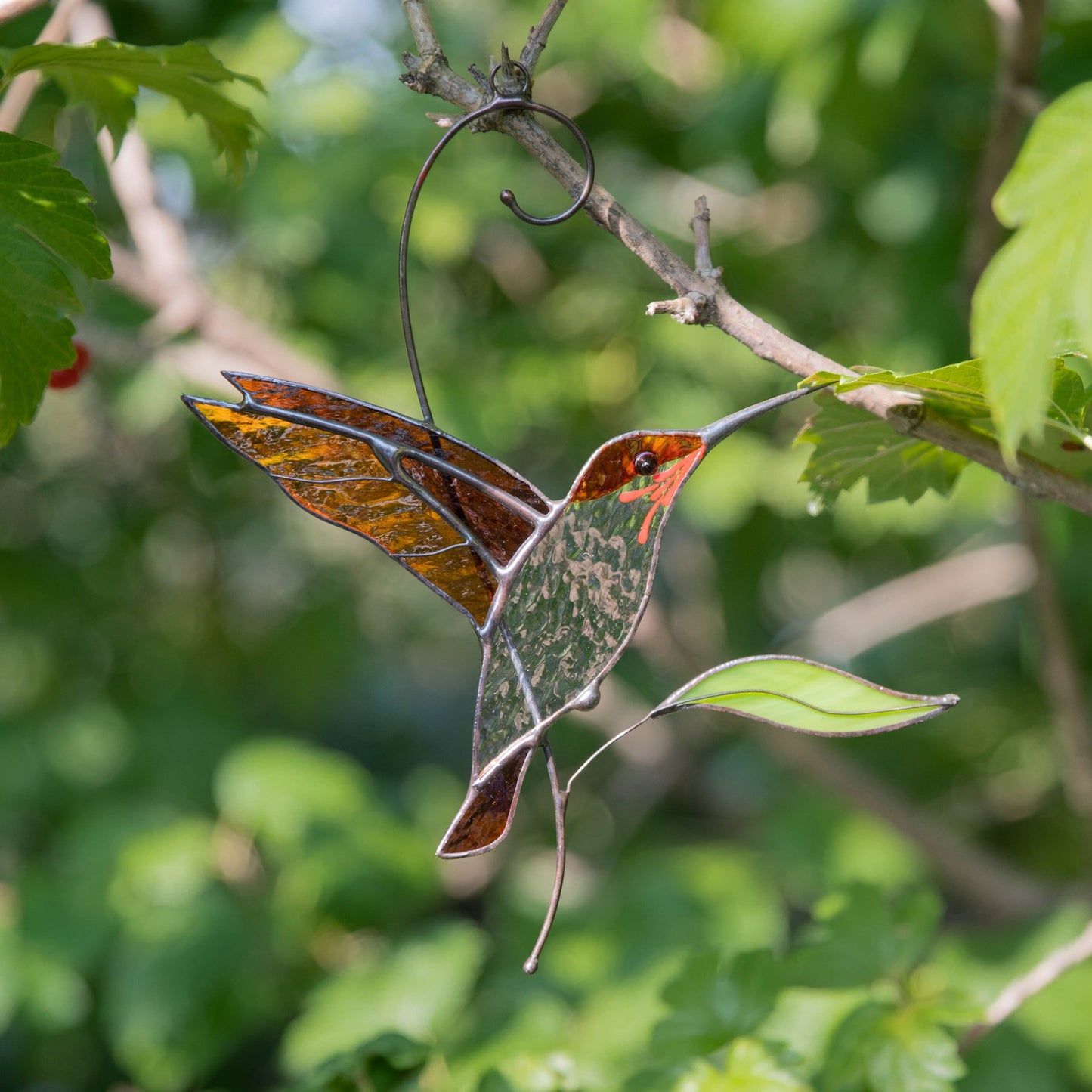 FLIEGENDE GRÜNE KOLIBRI-SONNENFÄNGER