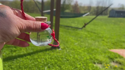 NEW HUM-Faye™ GLASS Hanging 2oz Single Port Window to Hand Hummingbird Feeder w Hanger and Perch