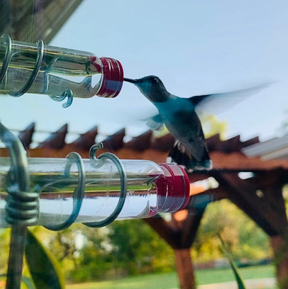 Mangeoire à colibris en spirale moderne à 4 stations | Cuivre | Fleurs de soie | Bouteilles en verre | Nouveau look