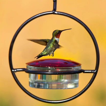 Hummble Slim Hummingbird Feeder