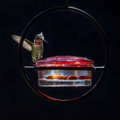 Hummble Slim Hummingbird Feeder