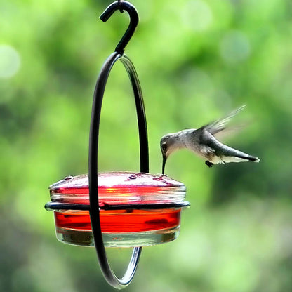 Hummble Slim Hummingbird Feeder