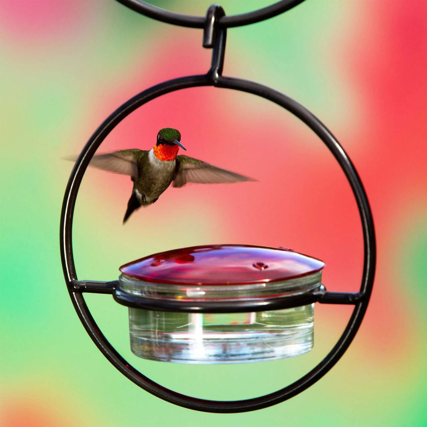 Hummble Slim Hummingbird Feeder