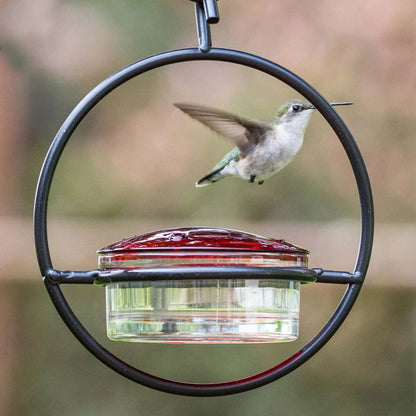 Hummble Slim Hummingbird Feeder