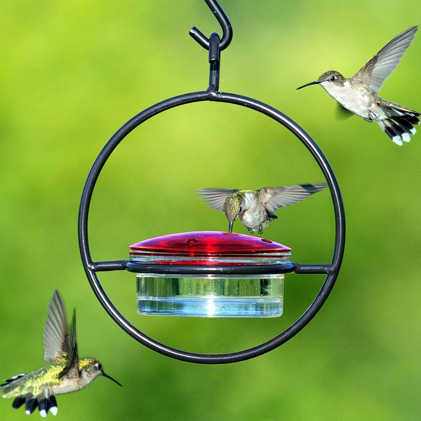 Hummble Slim Hummingbird Feeder