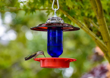 Kolibri-Futterspender, bienensicher, wahlweise mit 237 ml Klar- oder Kobaltflasche mit roter Glasplatte