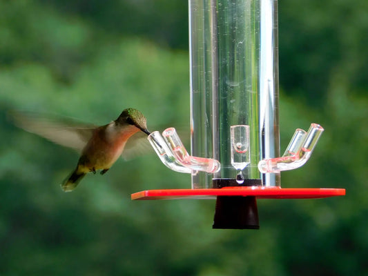 Hummingbird Feeder HB-1 by Peter's Feeders: The unique design let's you actually see the birds drinking.