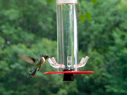 Hummingbird Feeder HB-1 by Peter's Feeders: The unique design let's you actually see the birds drinking.