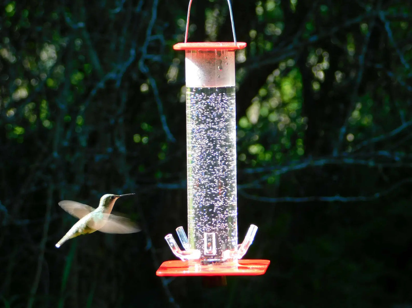 Hummingbird Feeder HB-1 by Peter's Feeders: The unique design let's you actually see the birds drinking.