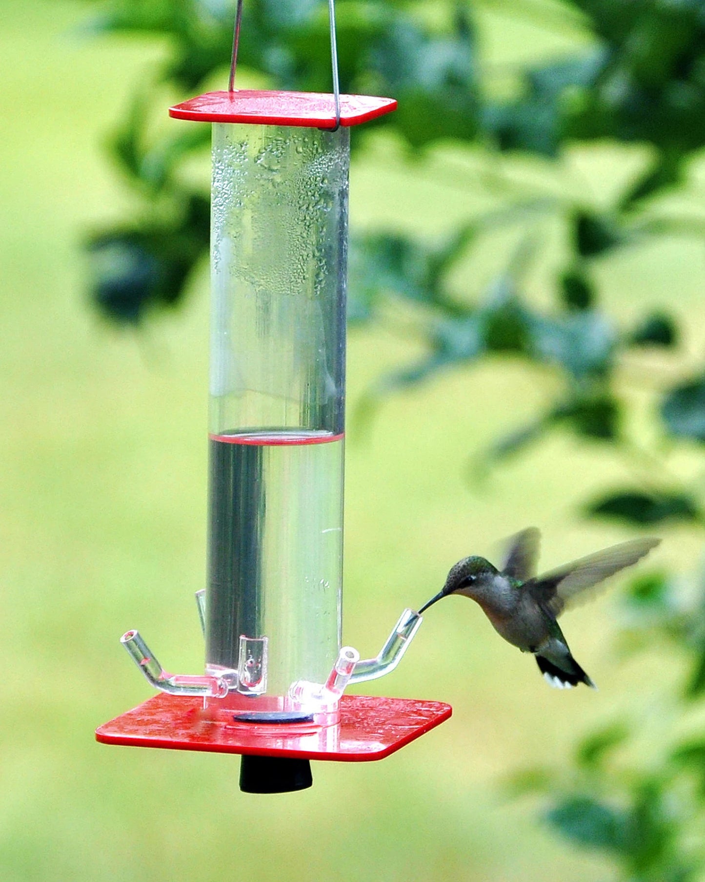 Mangeoire pour colibris HB-1 de Peter's Feeders : Son design unique vous permet de voir réellement les oiseaux boire.