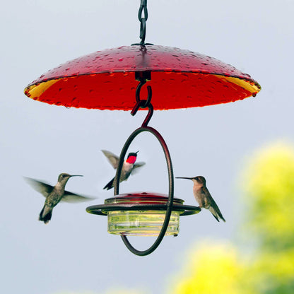 Hummble Bold Hummingbird Feeder