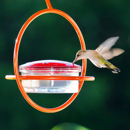 Hummble Bold Hummingbird Feeder