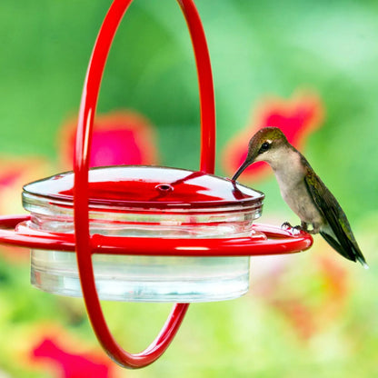 Hummble Bold Hummingbird Feeder