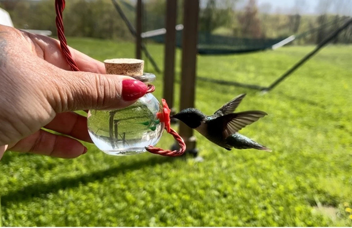 NEW HUM-Faye™ GLASS Hanging 2oz Single Port Window to Hand Hummingbird Feeder w Hanger and Perch