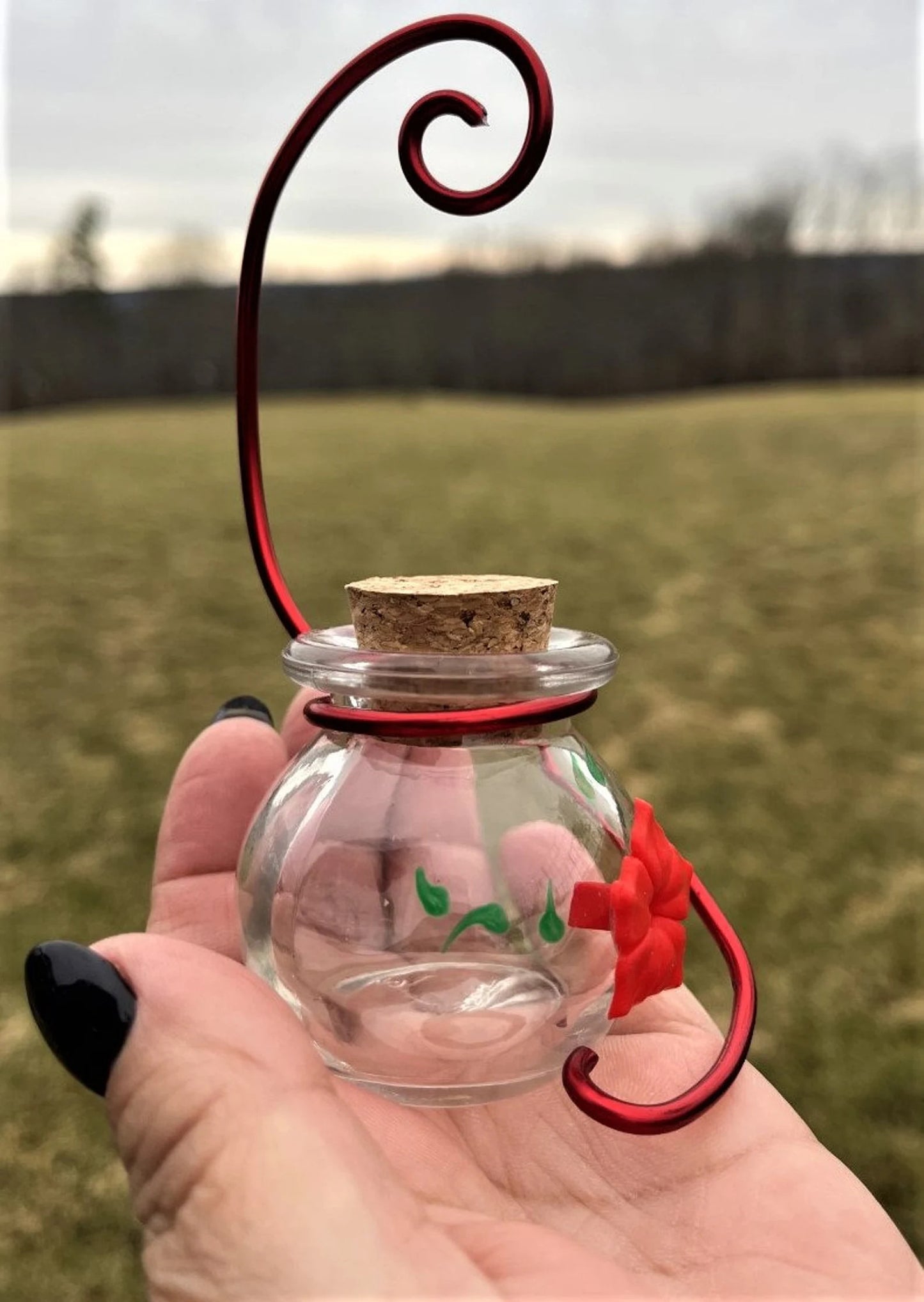 NEW HUM-Faye™ GLASS Hanging 2oz Single Port Window to Hand Hummingbird Feeder w Hanger and Perch