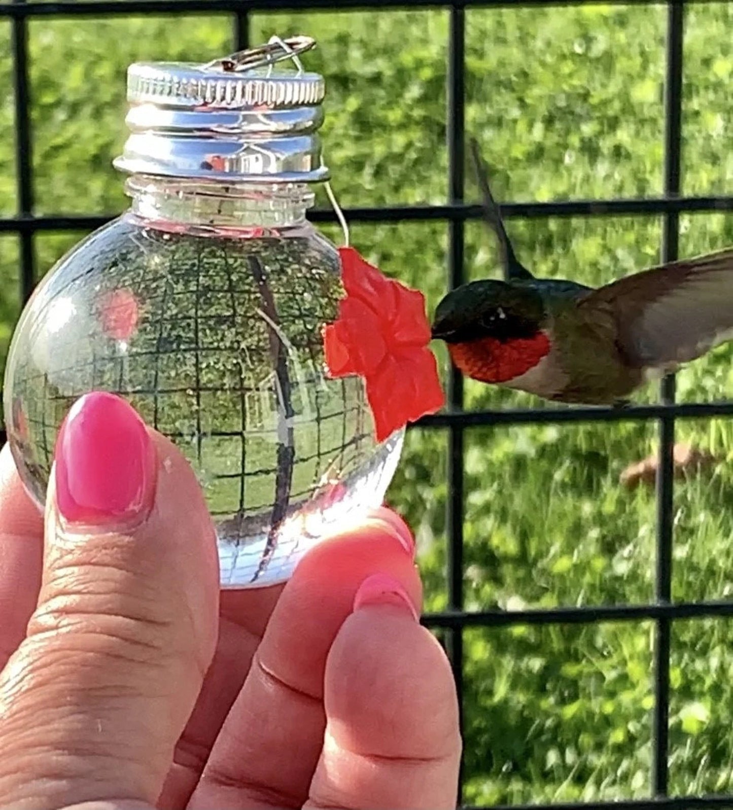 NEU HUM-Faye™ Glas zum Aufhängen, 2 oz, Einzelfenster zum manuellen Füttern von Kolibri mit Aufhänger und Sitzstange