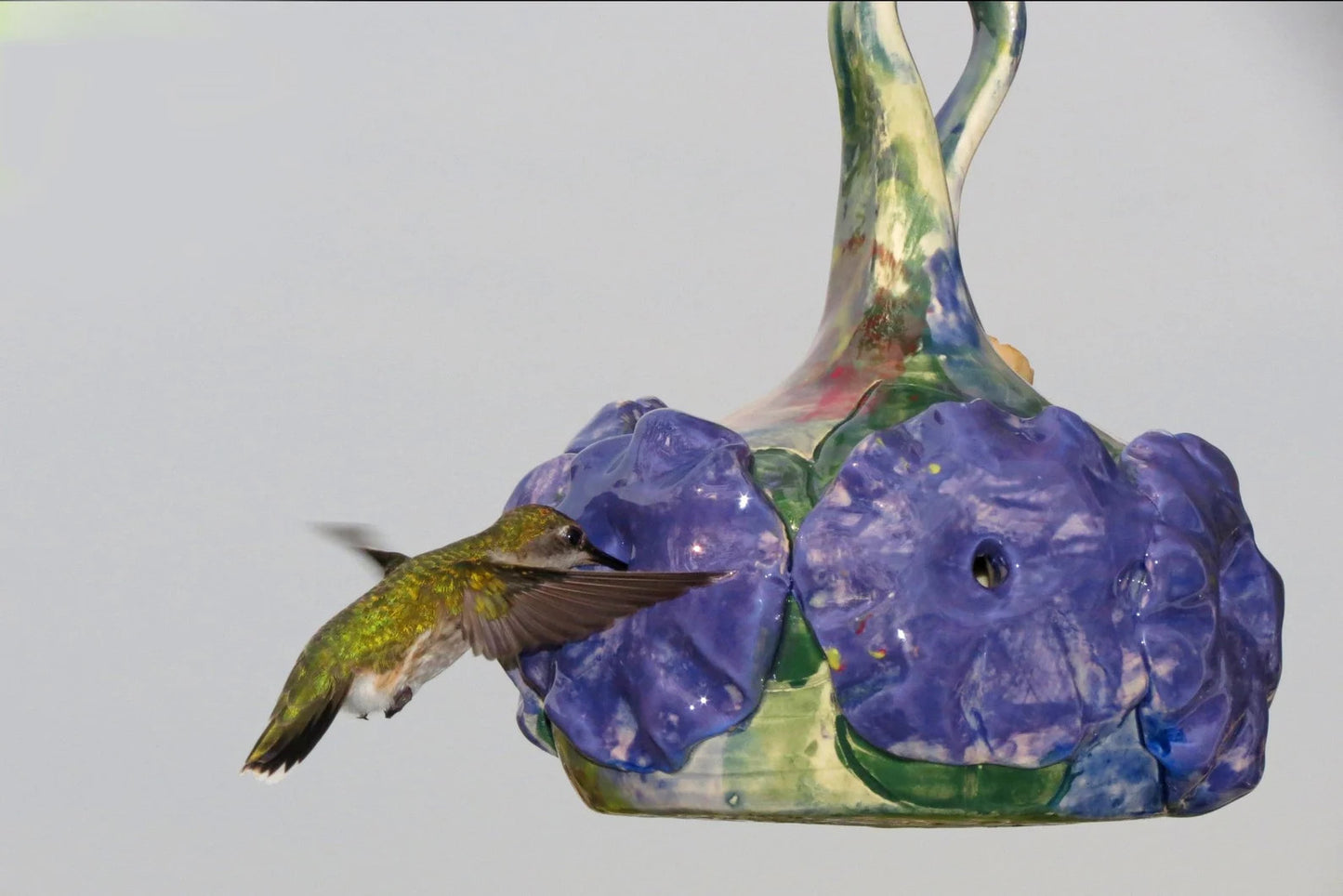 Hummingbird Feeder