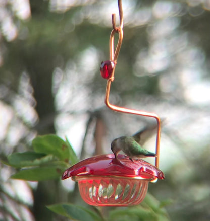 Hummingbird feeder 3oz