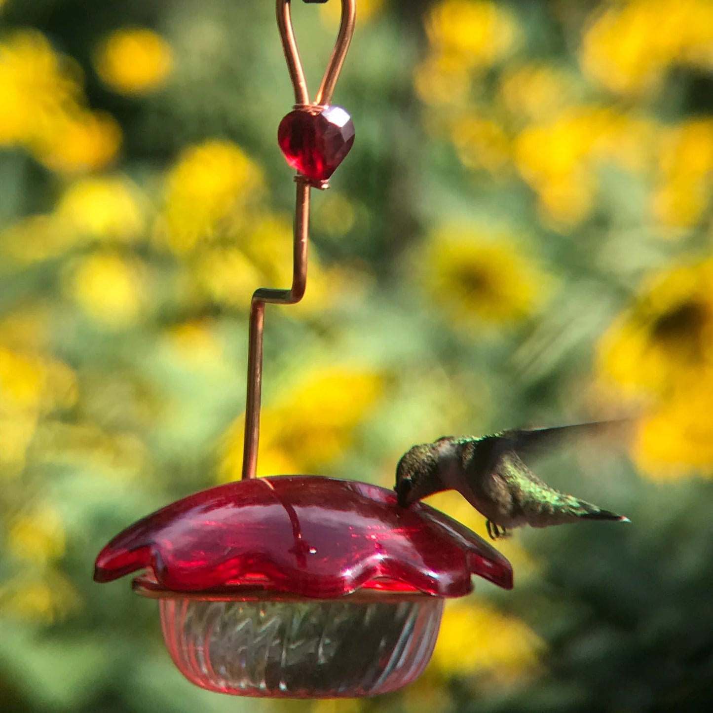 Hummingbird feeder 3oz