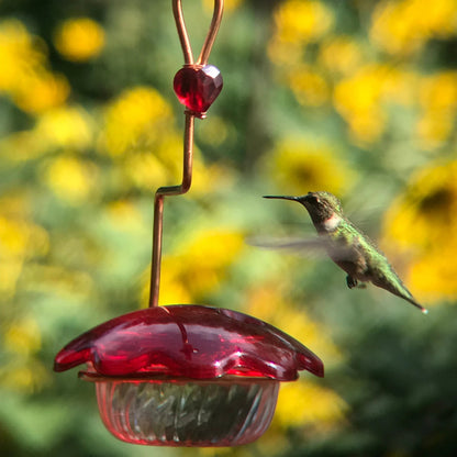 Hummingbird feeder 3oz