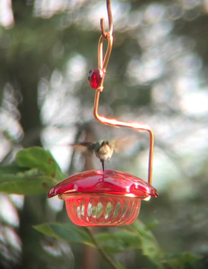 Hummingbird feeder 3oz