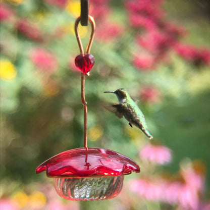 Hummingbird feeder 3oz