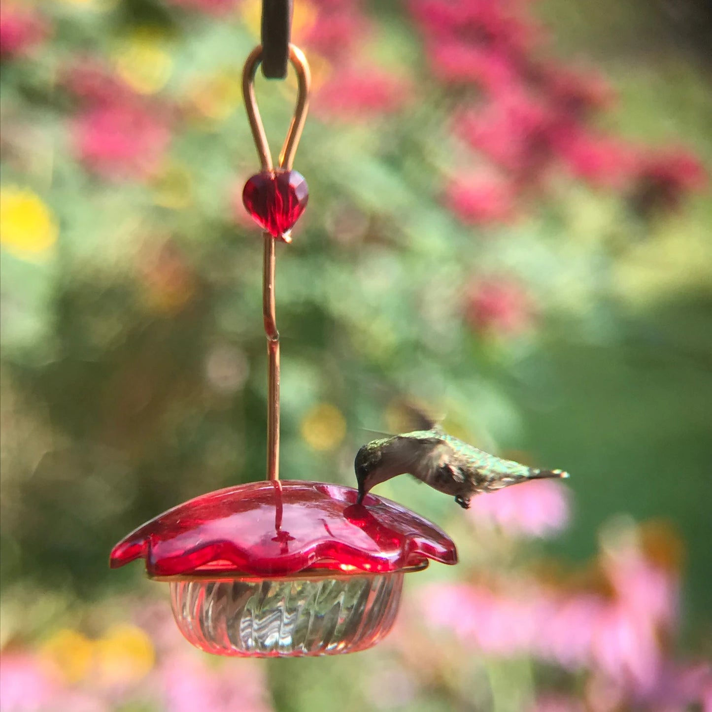 Hummingbird feeder 3oz