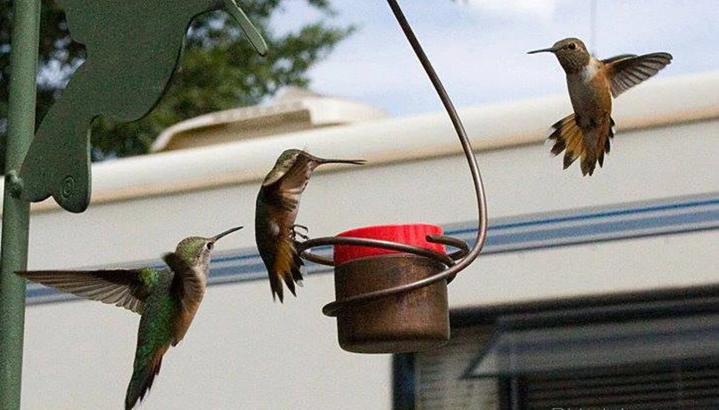 Bee-Proof, Drip-free Copper Hummingbird Feeder with Metal Hummingbird