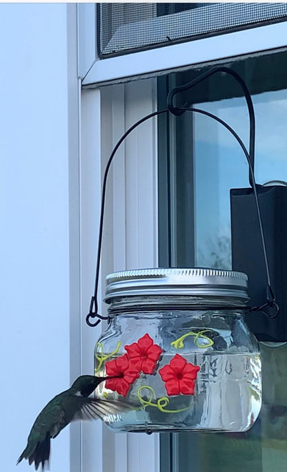 Beautiful HUM-Ble Beginnings™ 8oz Hummingbird Feeder Mason Jar w/Three Ports