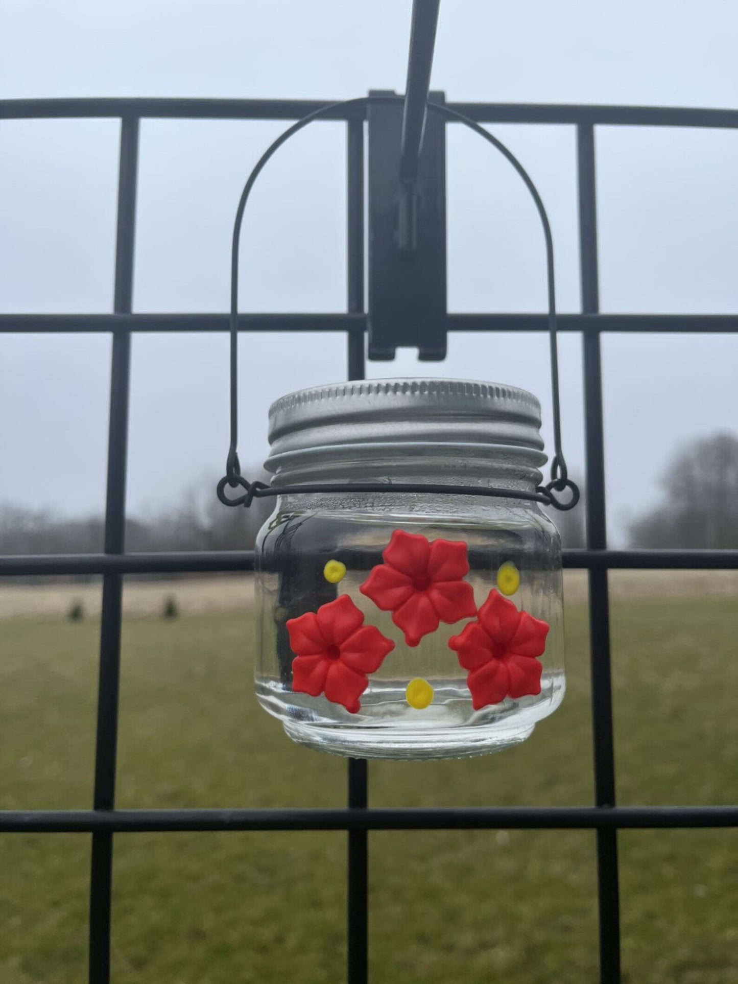 Beautiful HUM-Ble Beginnings™ 8oz Hummingbird Feeder Mason Jar w/Three Ports