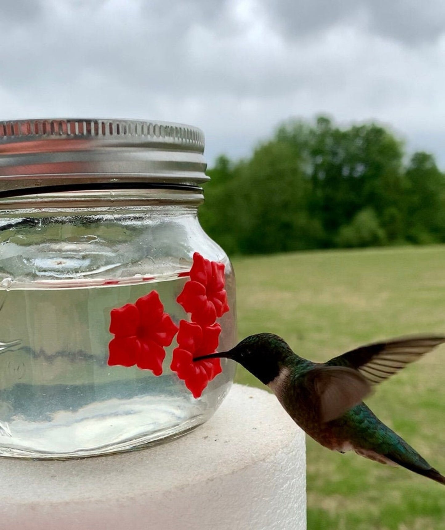 Beautiful HUM-Ble Beginnings™ 8oz Hummingbird Feeder Mason Jar w/Three Ports