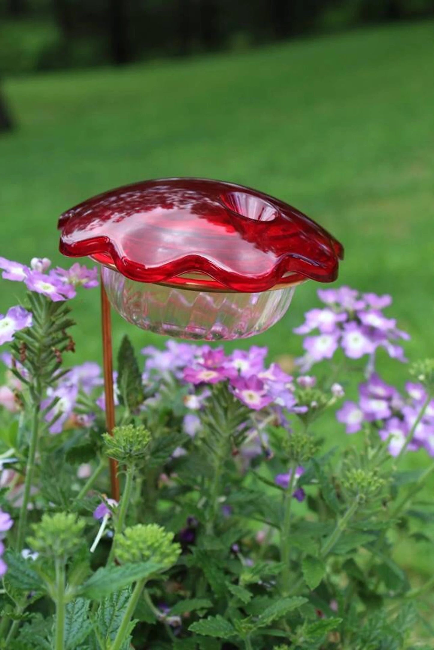 Mangeoire pour colibris en pot de fleurs